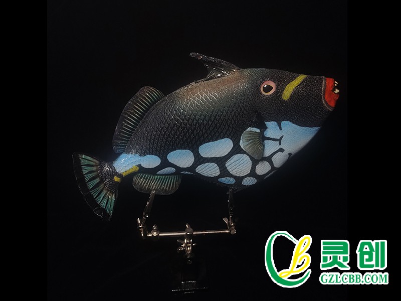 炮彈魚(yú)標(biāo)本